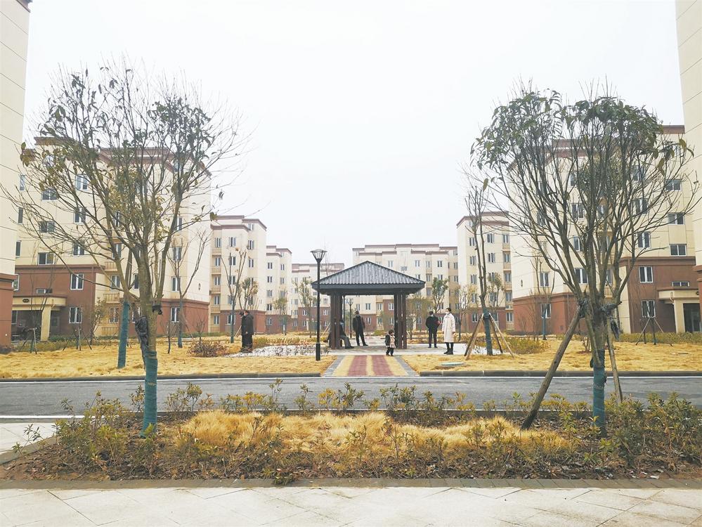 新春走基层：蒙洼飞出欢乐的歌