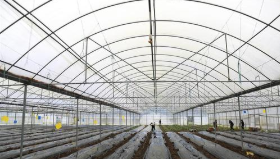 新春走基层：“只要肯干，就会过上好日子”