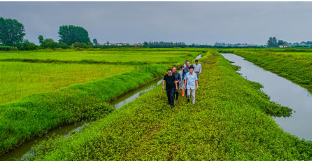 新春走基层：“冬闲经济”为广袤田野注入发展新动力