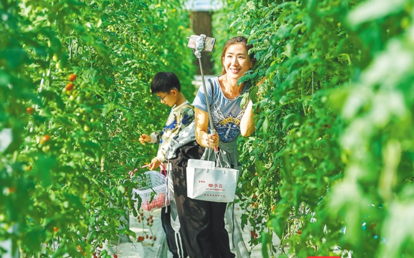 新春走基层：三亚大茅村“脱胎换骨”