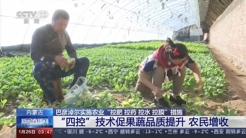 ɹŰ׶ʵʩũҵĿء ũҵЧũ