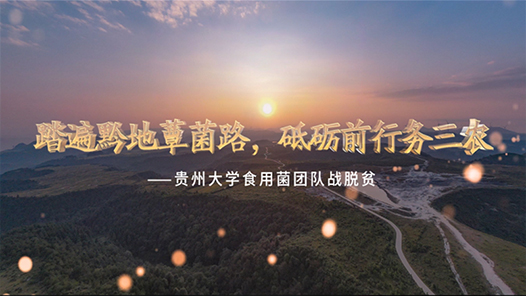 ҵķƶ/ҵƶ¡̤ǭزݾ·ǰũ