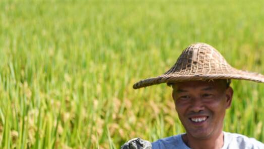 �����꣬������ʳ�����ۼƳ���500���