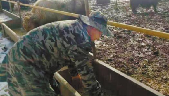 新春走基层：农家院里话党恩