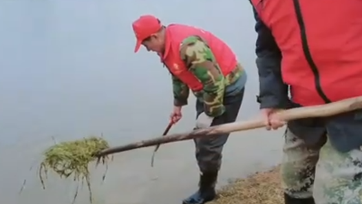 新春走基层：往昔巢湖养我 今日我养巢湖