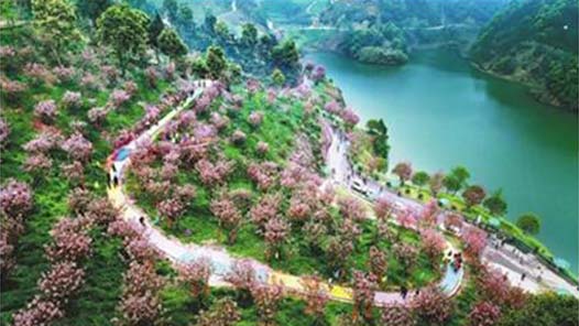 ֳ˼ɫĻɫú̿ɫ̬ɾϳ