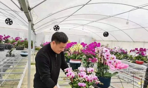 【新春走基层】以花为媒，走出美丽农业路