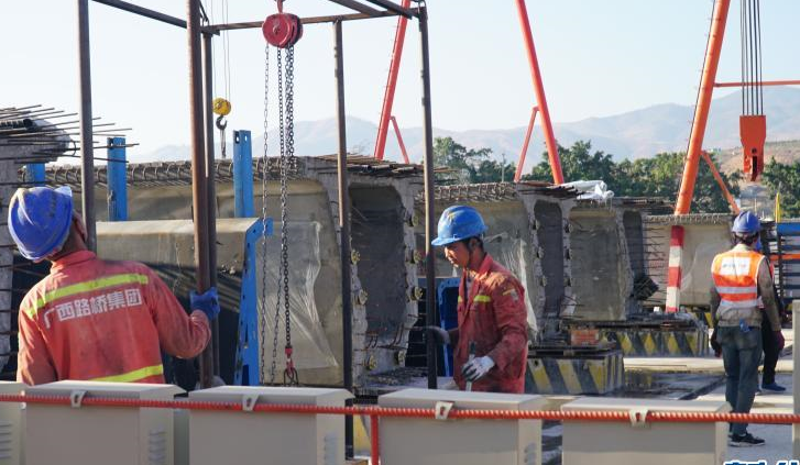 他们今年不回家