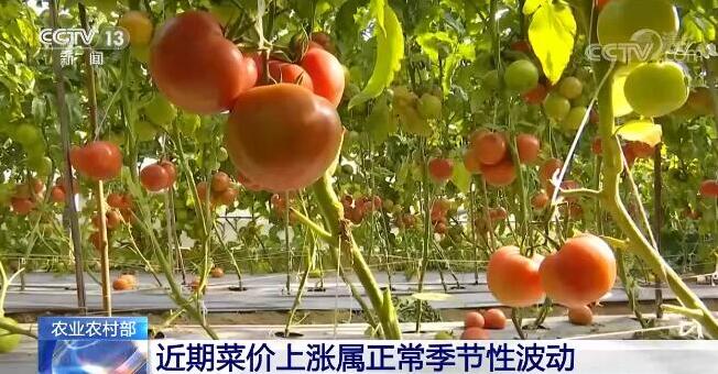 ũҵũ岿ڲ˼Բ ĿǰгӦ