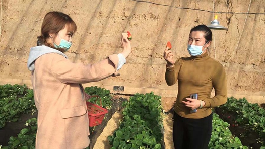 【新春走基层】特色产业带动致富山西潞城开启百姓“莓”好生活