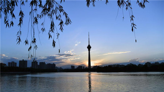 就地过年，这些“新玩法”你解锁了吗？