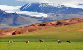 新春走基层:牛粪炉旁“打算盘” 颗颗拨出“幸福账”