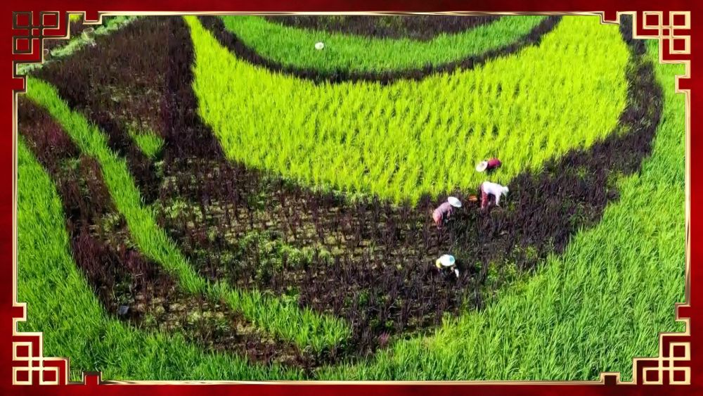 脱贫光荣户“王大头”的新春佳节