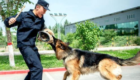 新春走基层：这个春节，他们坚守在祖国北疆