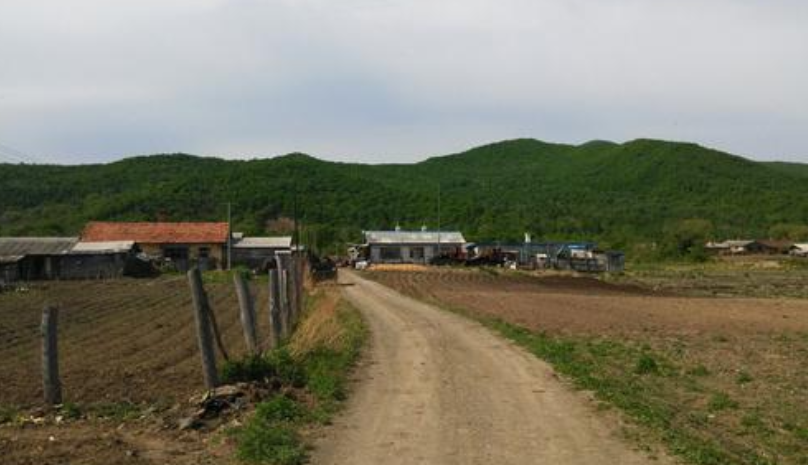 这个东北偏远小山村，为啥上了热搜？