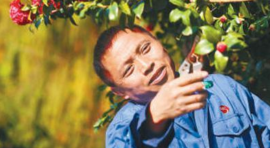 新年新期盼 加油好好干