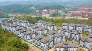 “懒汉”的起跑线