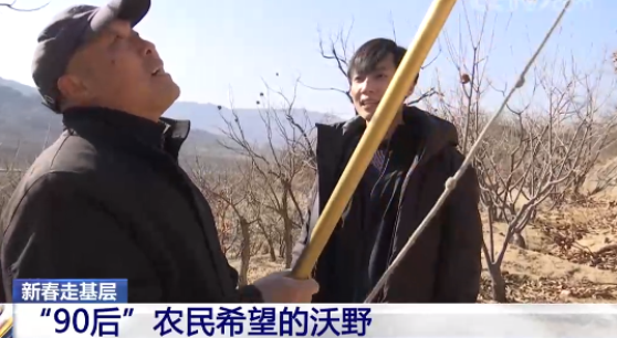 “90后”农民希望的沃野