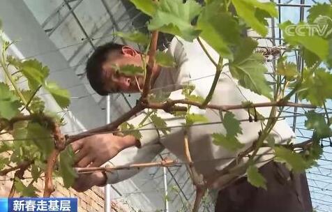 宁夏银川：移民村里的新春扫盲班