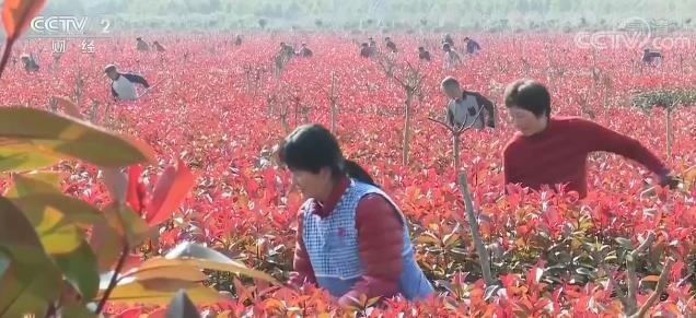 ۽һļ | ڹƶɹ ƽҪ˵Ǯ