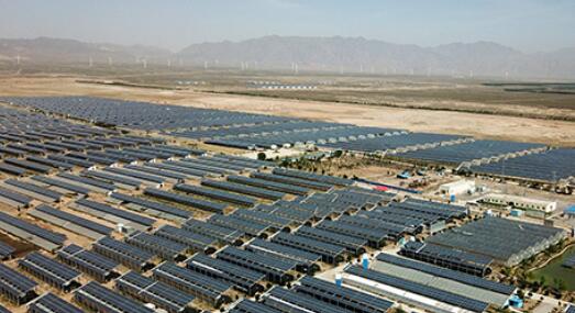 奋斗百年路 启航新征程：打卡闽宁镇 感悟“山海情”