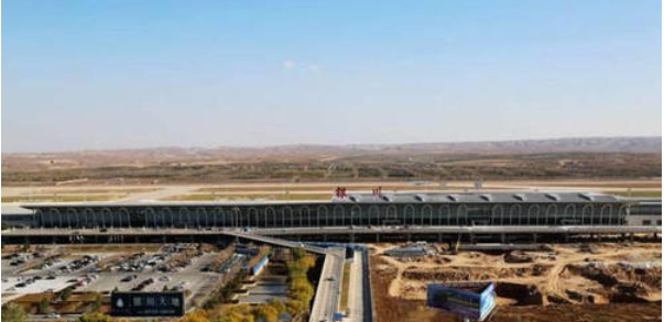 机场“逐鸟人”：黑脸蛋是我们的“标配”