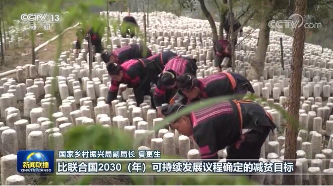 8ܶ 1ƶйƶᴴʷΰҵ