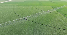 塞上春播新农事 孕育增收新希望