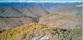 记者手记：我们的心惊肉跳，不过是他18年的日常