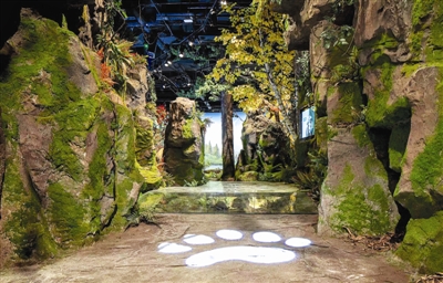 馆内  场景  图据成都大熊猫繁育研究基地