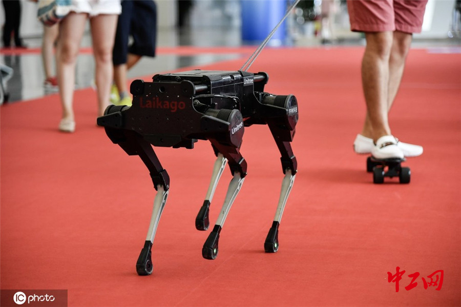 中国公司研发的机器狗超越世界纪录或推出平价版