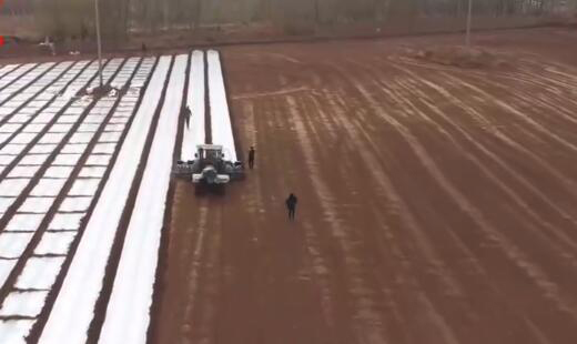 ½⳵155Ķ޻20ʶ½޻ֲ