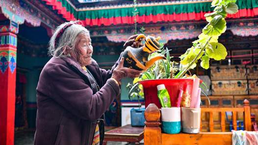 �»�ȫý+ح���Ѻ������������ط���ũūӰ�񵵰������