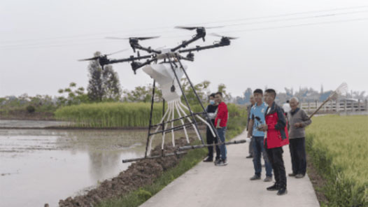 Ⱥ״ٴȫС·ҹũĸ﷢Դ֮һĹ㺺