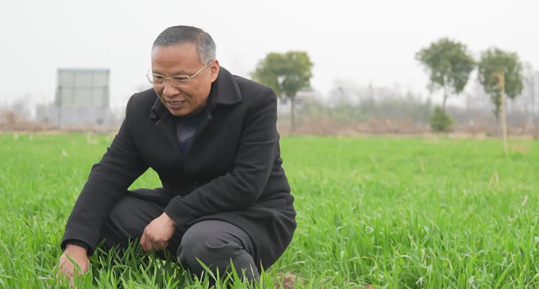 ģ˵㽭桰ɽ顱Կڰ·ϵũҵר