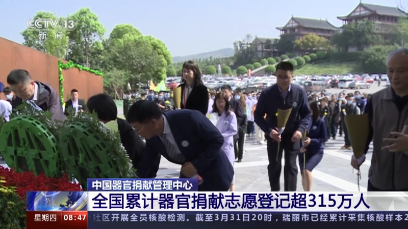 йپ׹ ȫۼپ־ԸǼǳ315