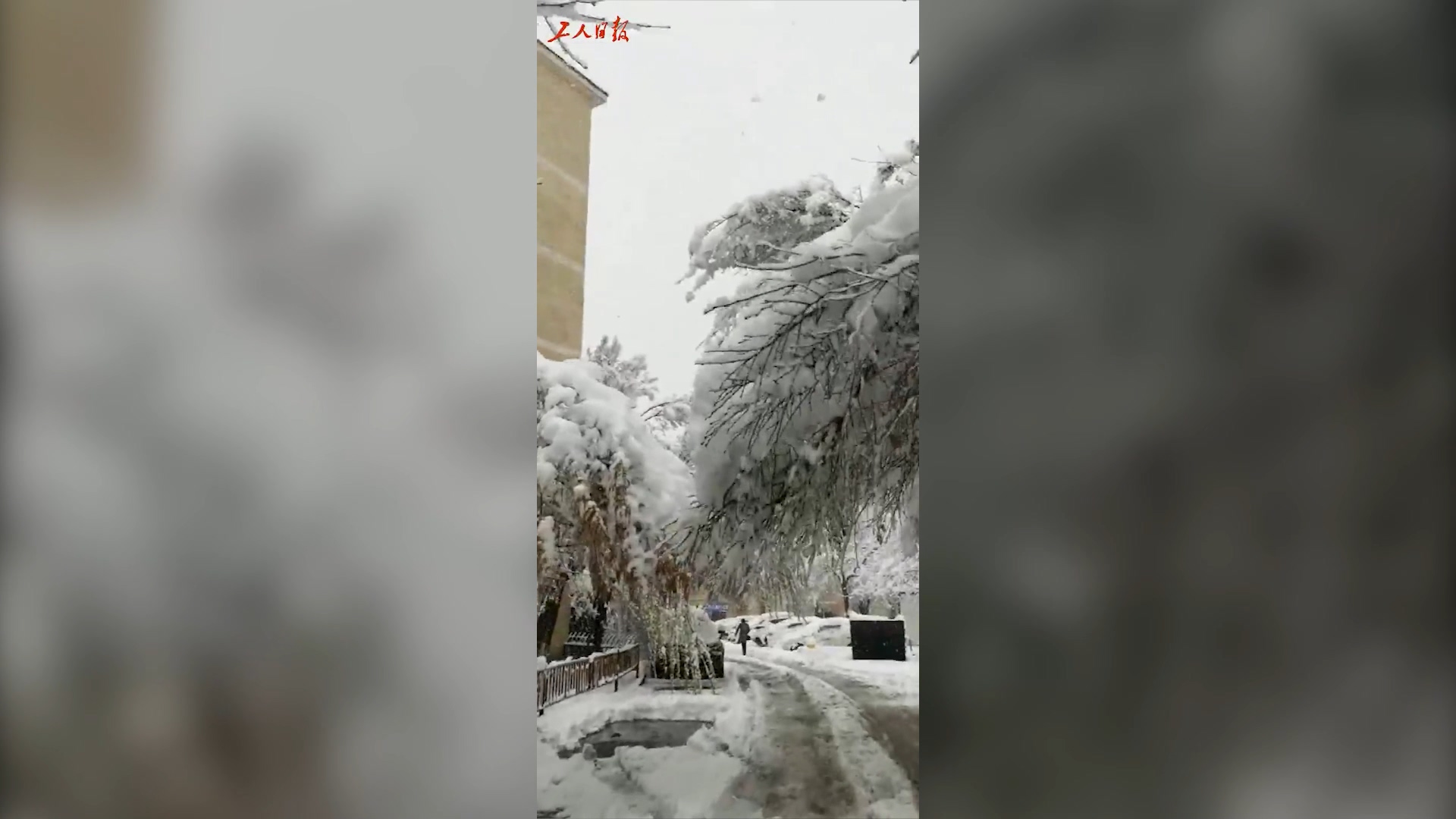 ½ݳ60겻ĴѩѩѴ36.9