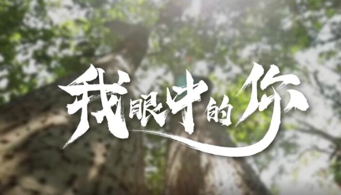 ɫӡǣҵ׷Ѱ | ɫٱؼ