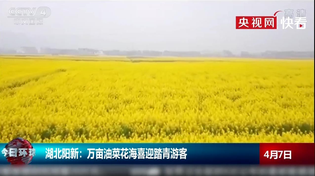 ӣֿšߺ񿴺ĶͲ˻ϲӭ̤ο