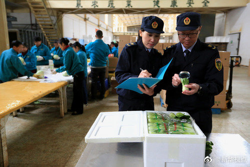 ȫ���˴�ί�ᷨ��ί���ҹ����ﰲȫ�������������½׶�