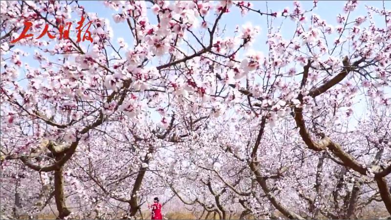 ӡ꼻һ֡ļ ½ҵڡӳ