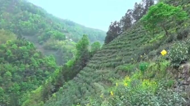 翸ģ淴ɽ޽ǧĶݵز԰