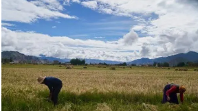 ������֤����70��ũҵ�ޱ�