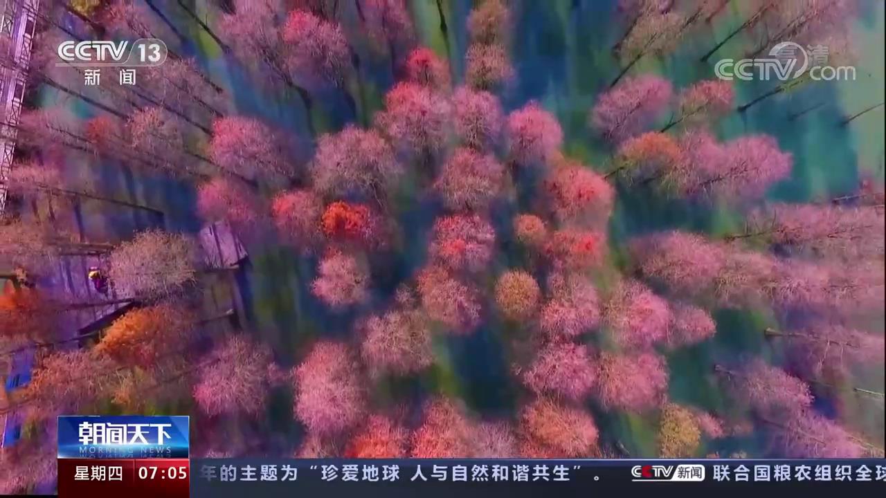  | ҹϸ̬ռ䱣 ٽȻг