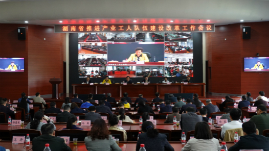 ���ϻ����ƽ���ҵ���˶��齨��ĸ�