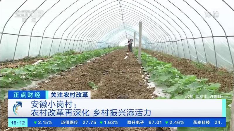 ӡء˳ֹɷֺ족 | Сڴũĸ 