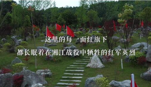 ʱ΢¼ح൨һꡪ潭ս