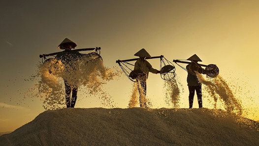 习近平向全国广大劳动群众致以节日的祝贺和诚挚的慰问