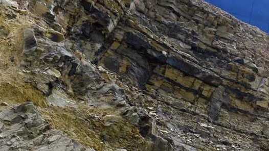 【劳动者之歌】青藏高原上的“野地”姑娘