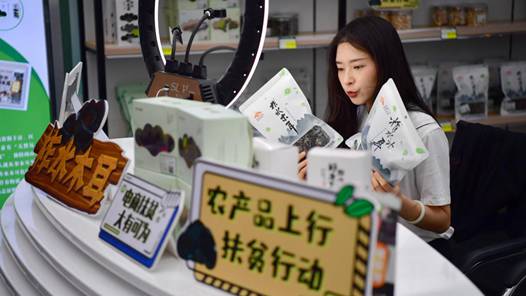 ܶ· ̡ͬıСԭôҹƶȺڷõ